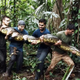 Image for article titled Why The Discovery Channel's "Eaten Alive" Stunt Could Kill An Ananconda